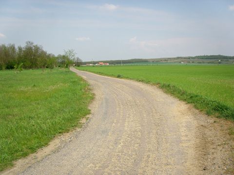 Foto 48